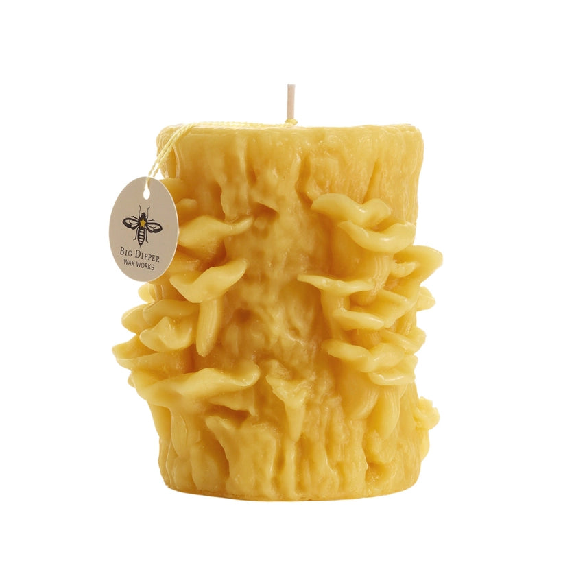 Oyster Mushroom Candle