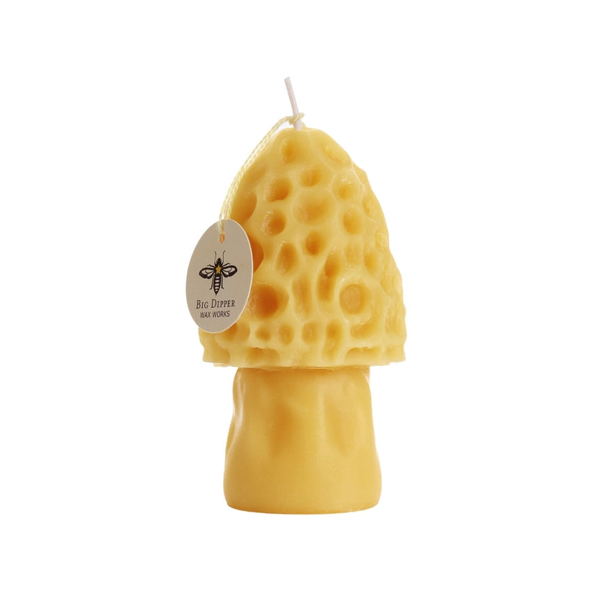 Morel Mushroom Candle